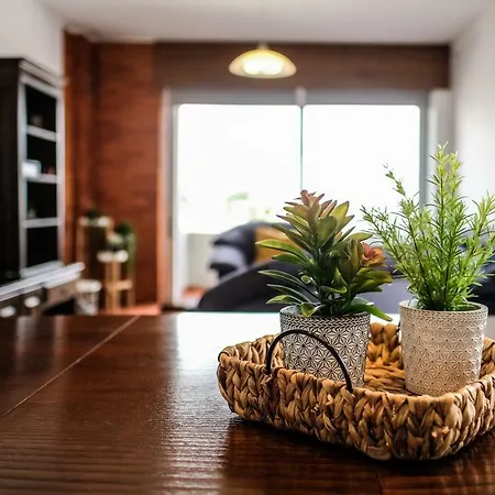 Appartement Cozy 3 In Centre Penafiel